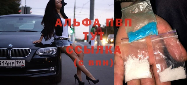винт Алексин