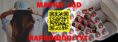 СК Абакан