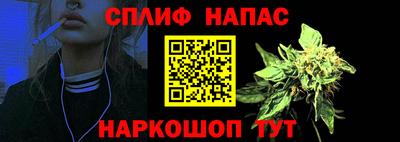 СК Абакан