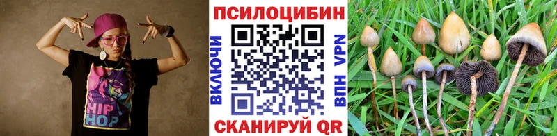 продажа наркотиков  Ревда  Псилоцибиновые грибы ЛСД 