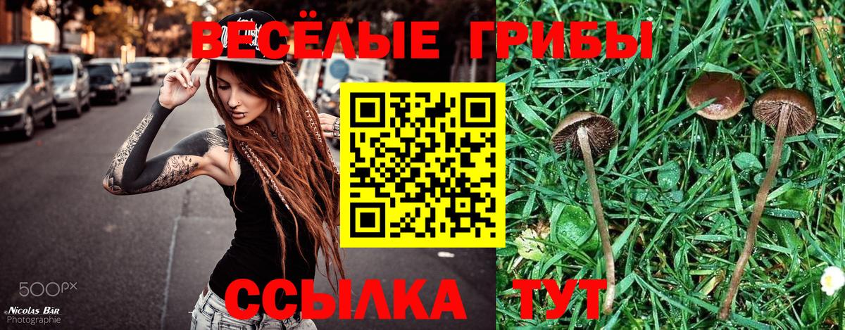 цены   Псилоцибиновые грибы Magic Shrooms  Вход с VPN  Ревда  Псилоцибиновые грибы прущие грибы 