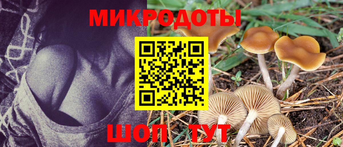 Ревда  Галлюциногенные грибы MAGIC MUSHROOMS  Вход с VPN 
